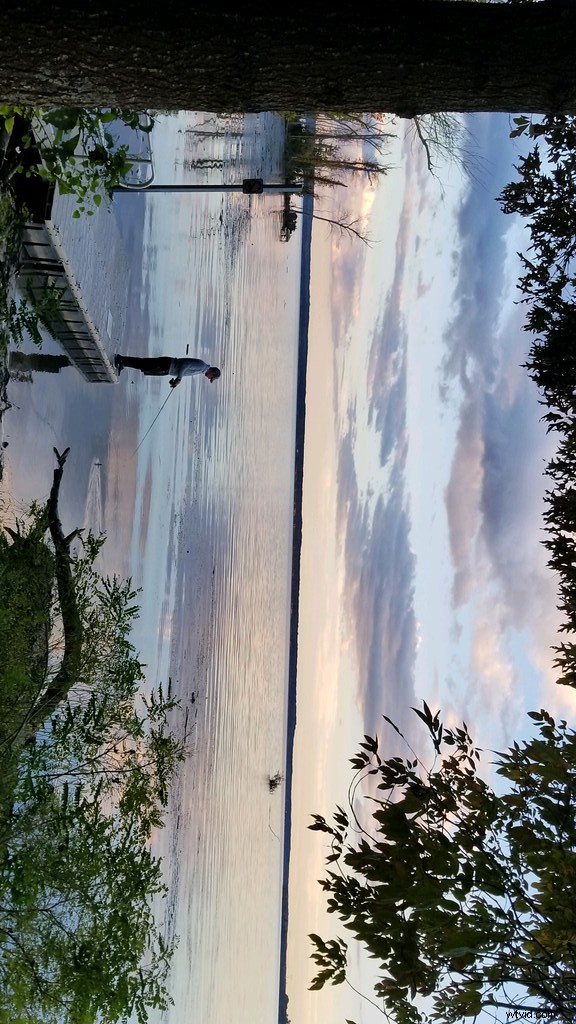 How to Flip Images in Photoshop: Ultimate Step-by-Step Guide