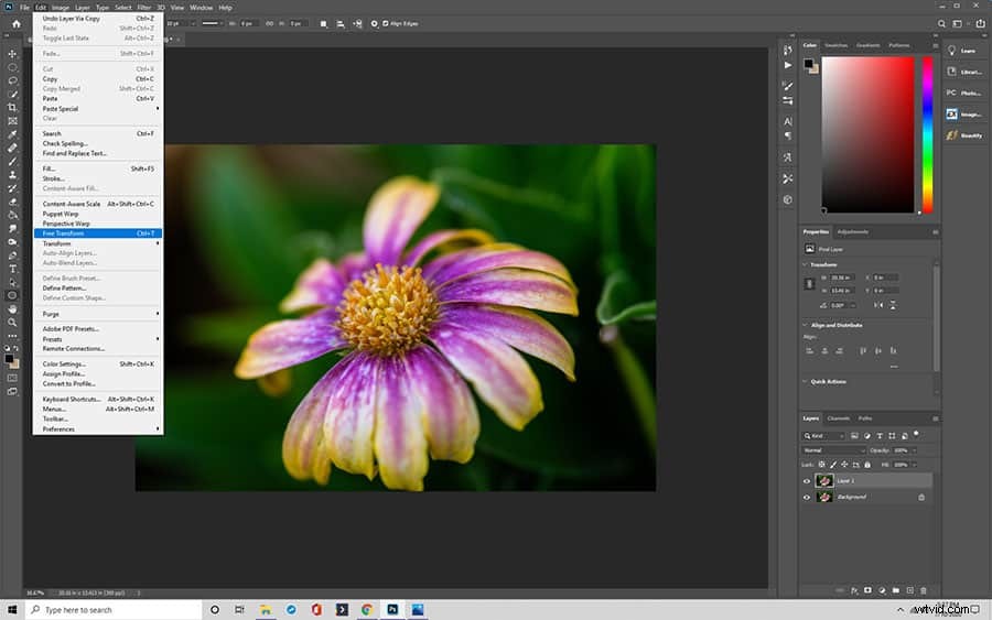 How to Flip Images in Photoshop: Ultimate Step-by-Step Guide
