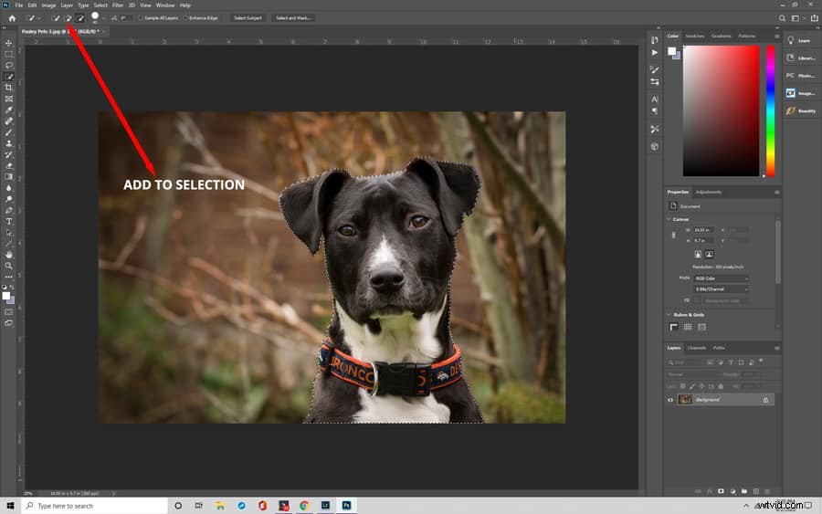 Master Photoshop s Quick Selection Tool: Effortless Background Removal Tutorial
