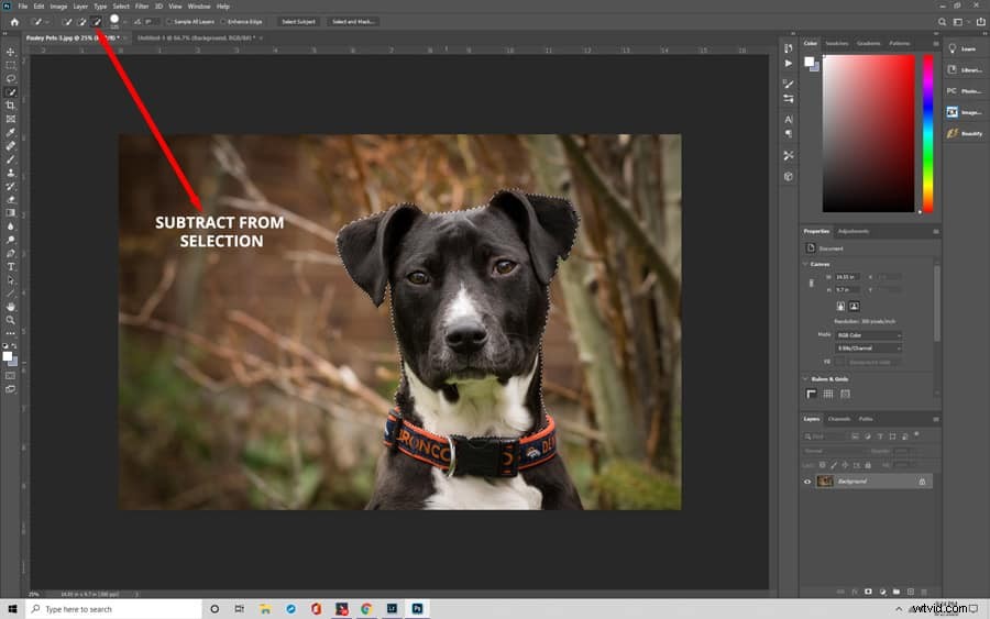 Master Photoshop s Quick Selection Tool: Effortless Background Removal Tutorial