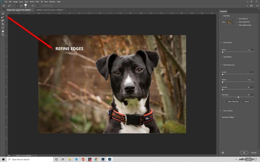 Master Photoshop s Quick Selection Tool: Effortless Background Removal Tutorial