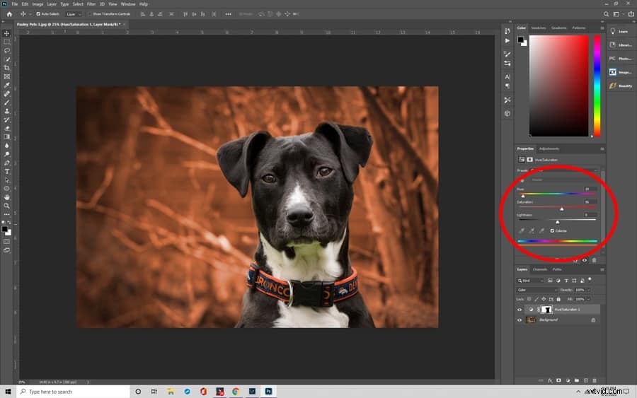 Master Photoshop s Quick Selection Tool: Effortless Background Removal Tutorial