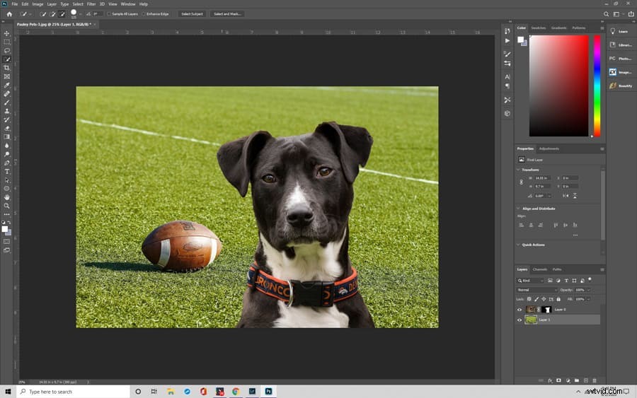 Master Photoshop s Quick Selection Tool: Effortless Background Removal Tutorial