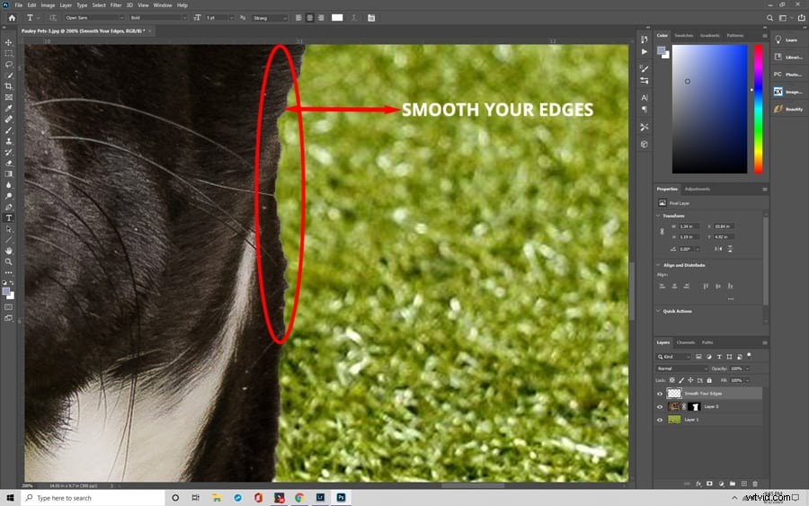 Master Photoshop s Quick Selection Tool: Effortless Background Removal Tutorial