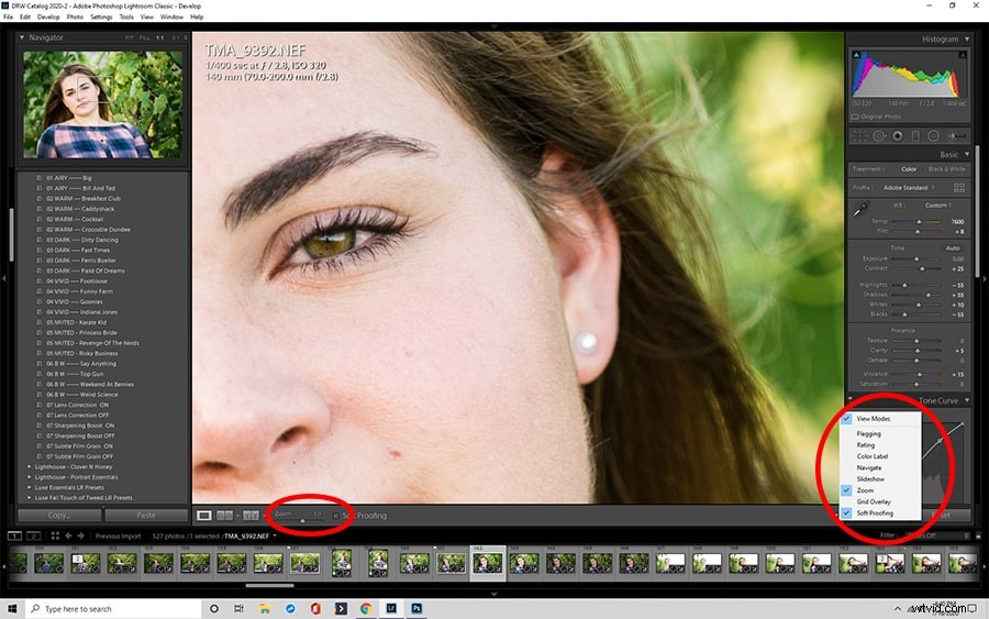 Master Zooming in Lightroom: Pro Tips for Sharp, Precise Edits