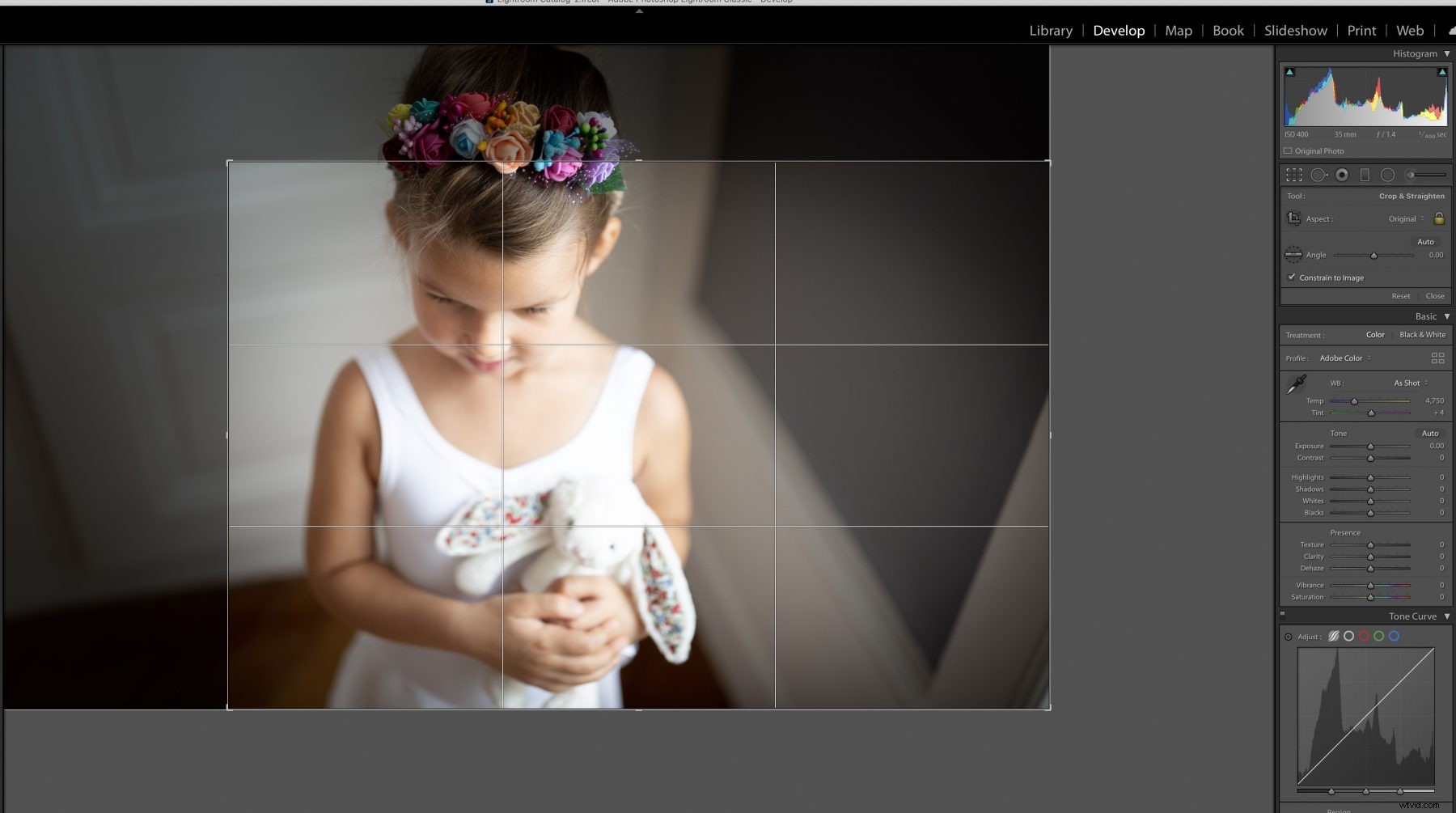 Master Photo Cropping in Lightroom: Step-by-Step Guide