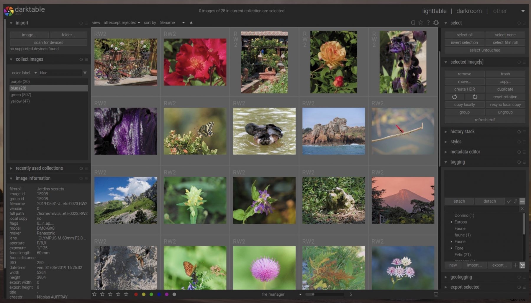 Best Lightroom Alternatives for Photographers: Top Photo Editing Tools