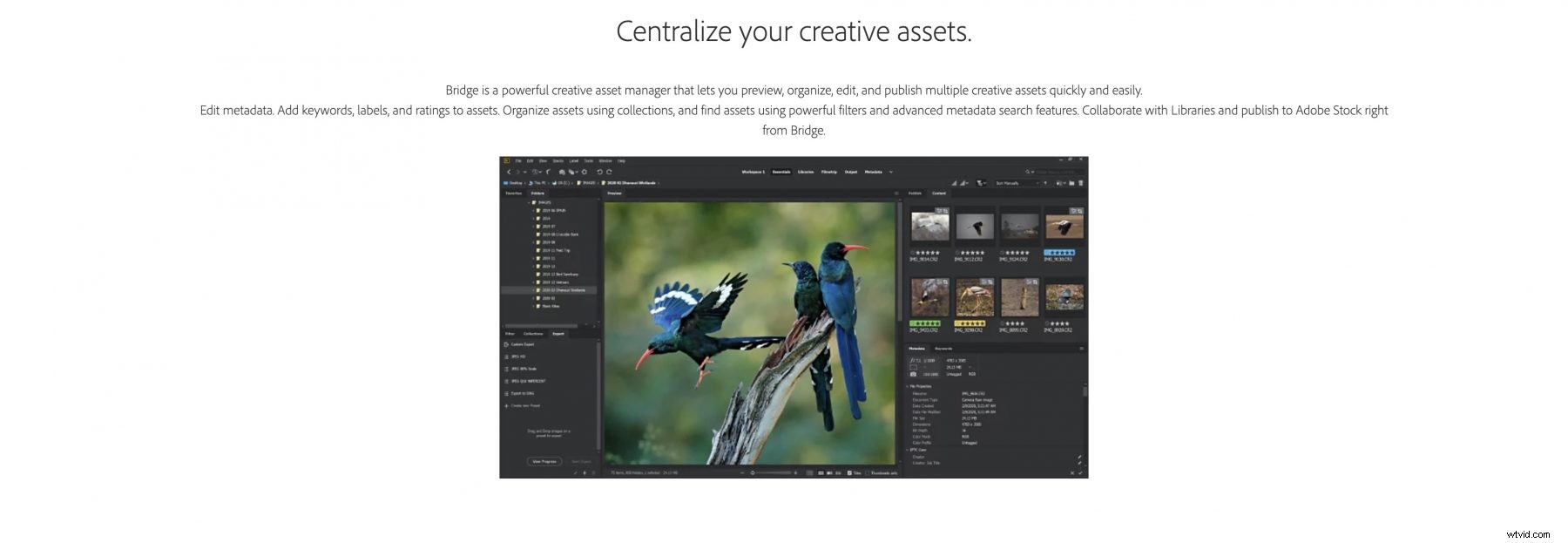 Best Lightroom Alternatives for Photographers: Top Photo Editing Tools