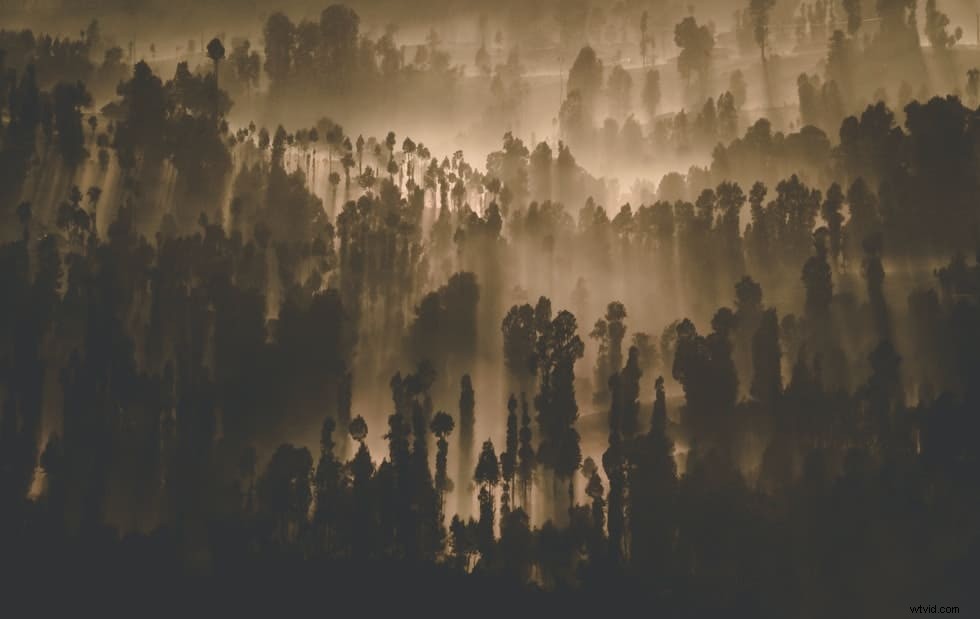 Transform Photos into Stunning Paintings in Photoshop: Step-by-Step Guide