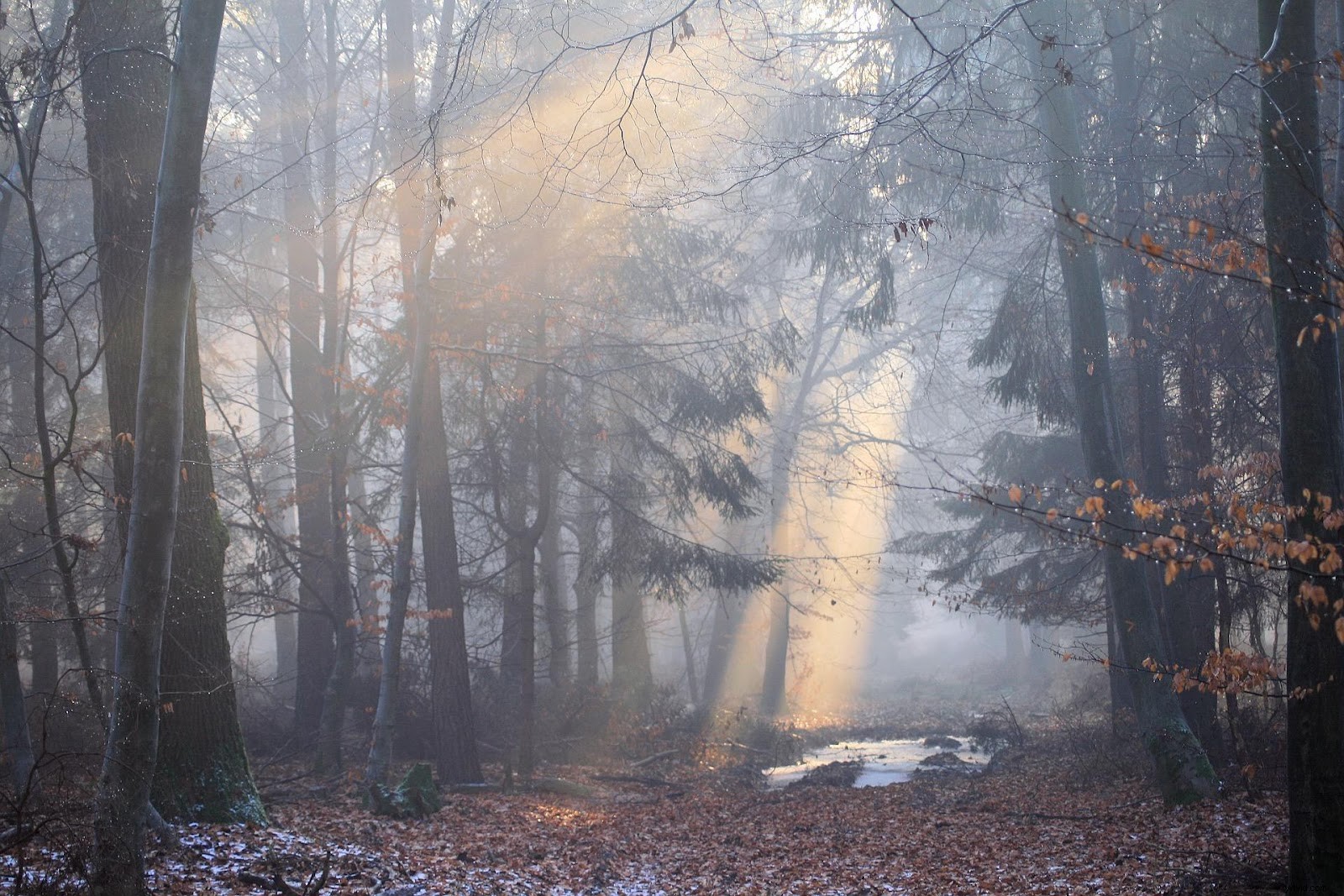 How to Create Realistic Sun Rays in Photoshop: Step-by-Step Guide