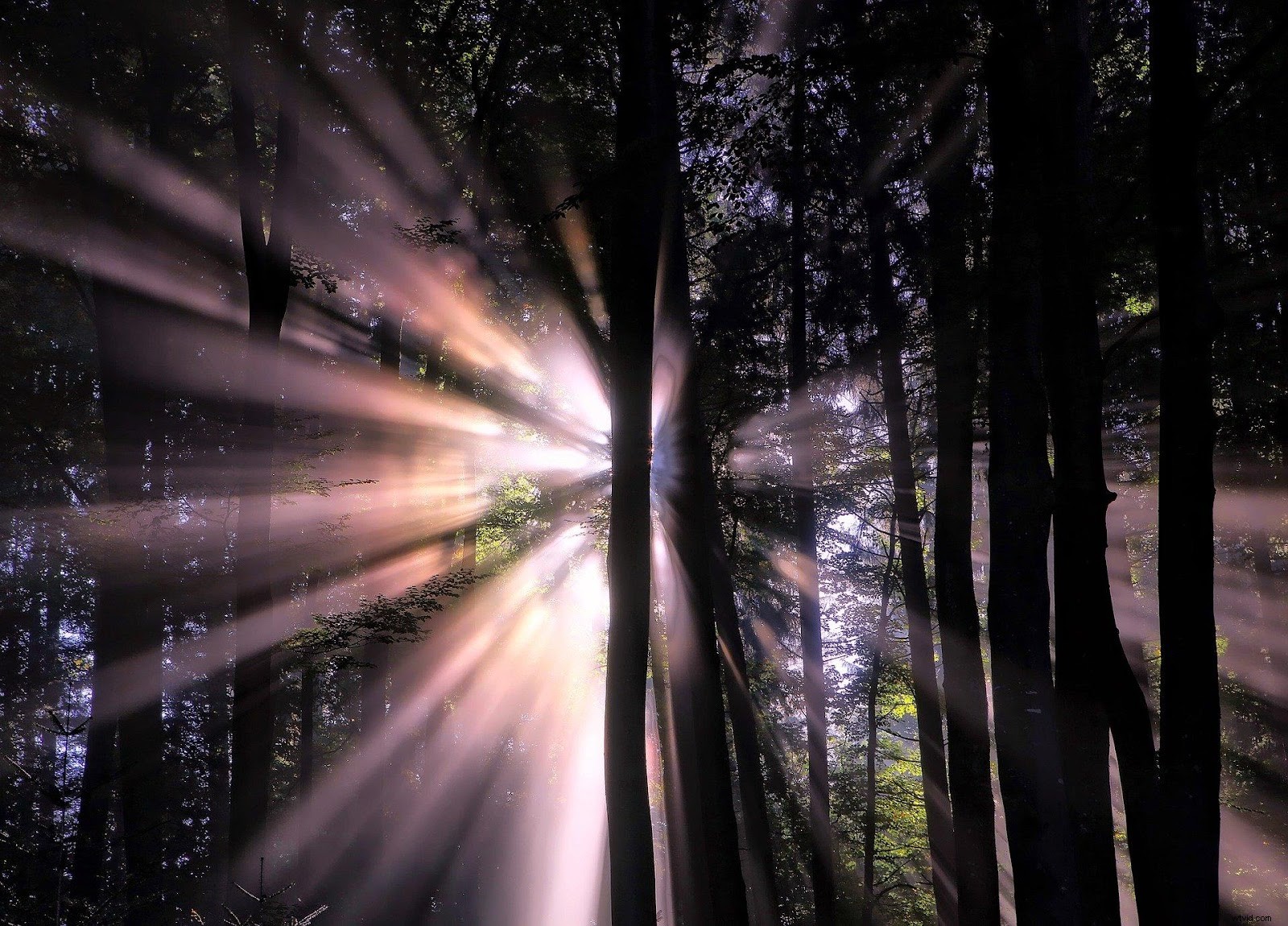 How to Create Realistic Sun Rays in Photoshop: Step-by-Step Guide