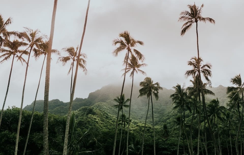 Luminar vs. Lightroom: In-Depth Comparison of Top Photo Editing Software