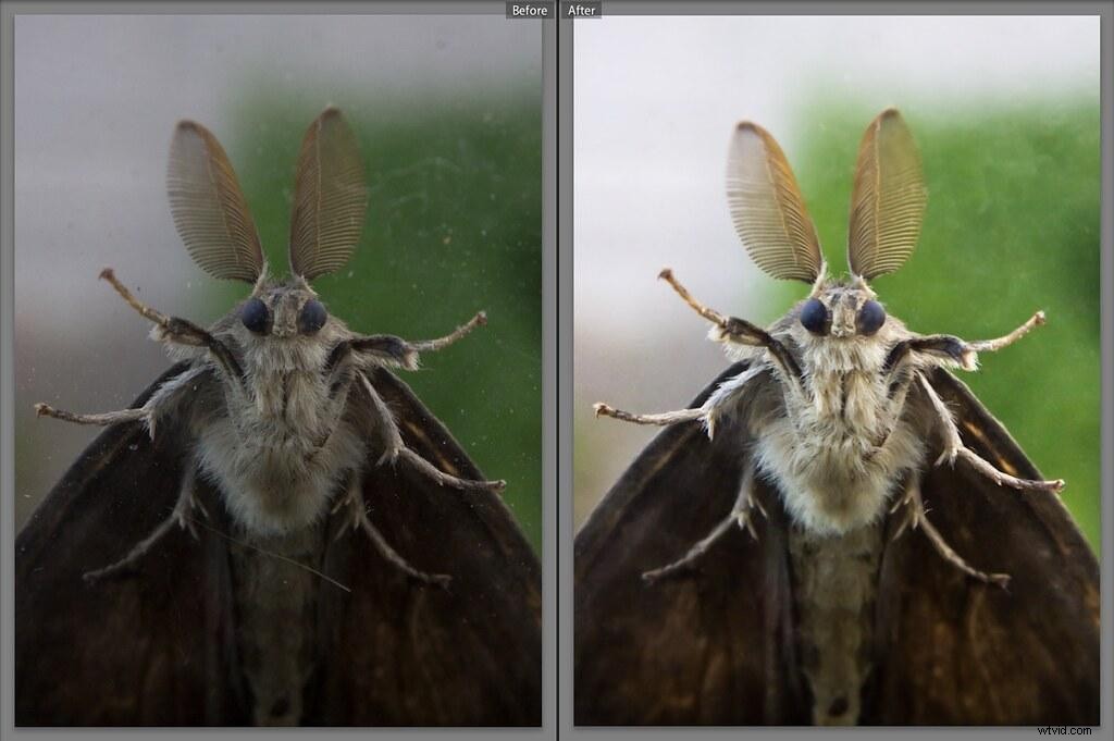 How to View Before and After Photos in Lightroom: Essential Shortcuts