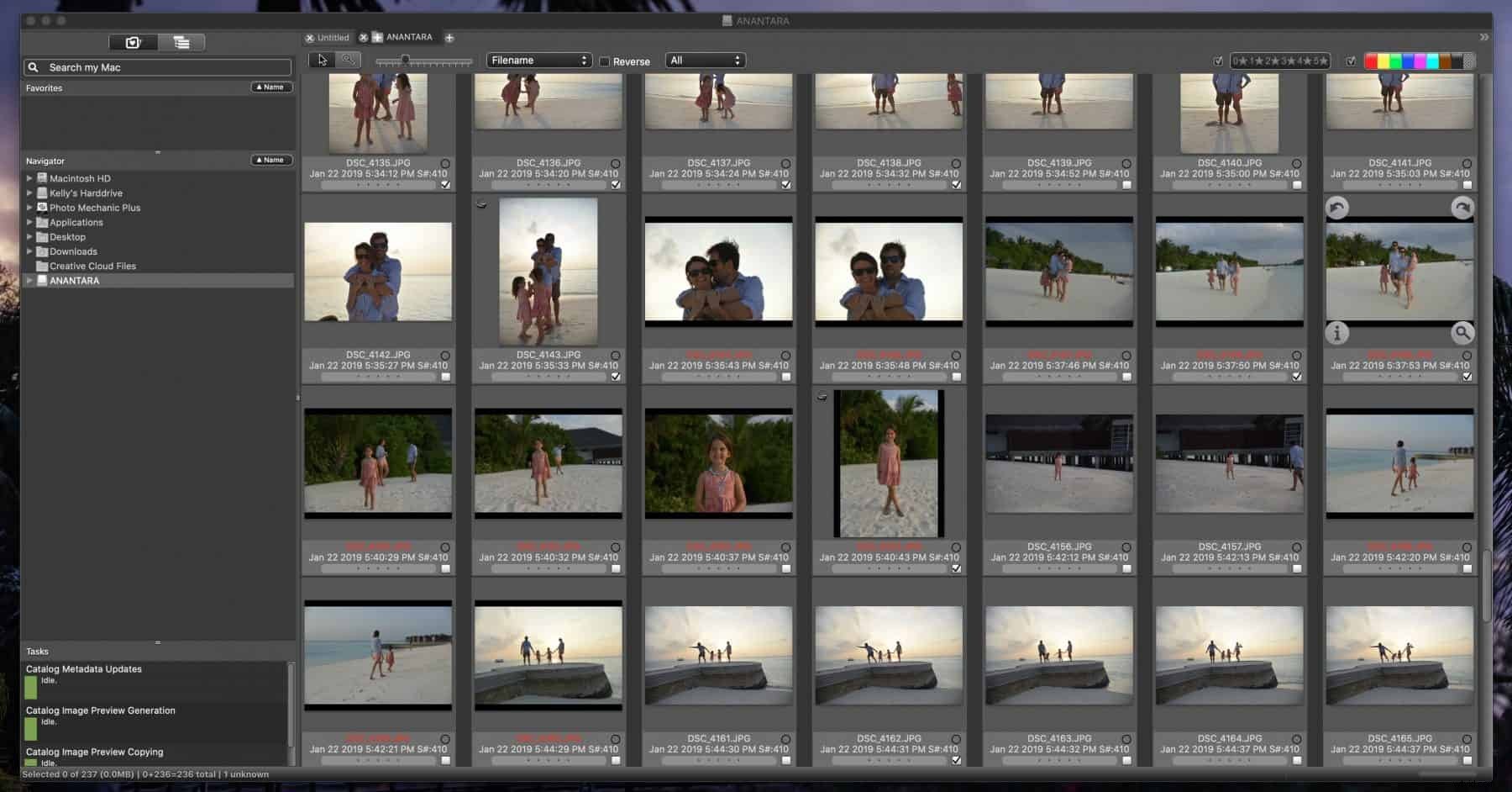 Master Image Culling: The Ultimate Guide to Photo Mechanic