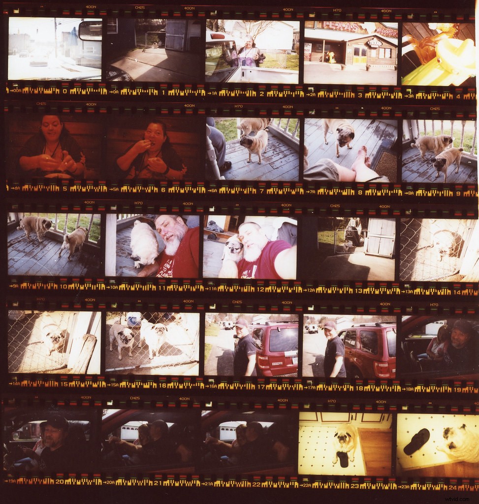 Contact Sheet Guide: What It Is and How to Create One Step-by-Step