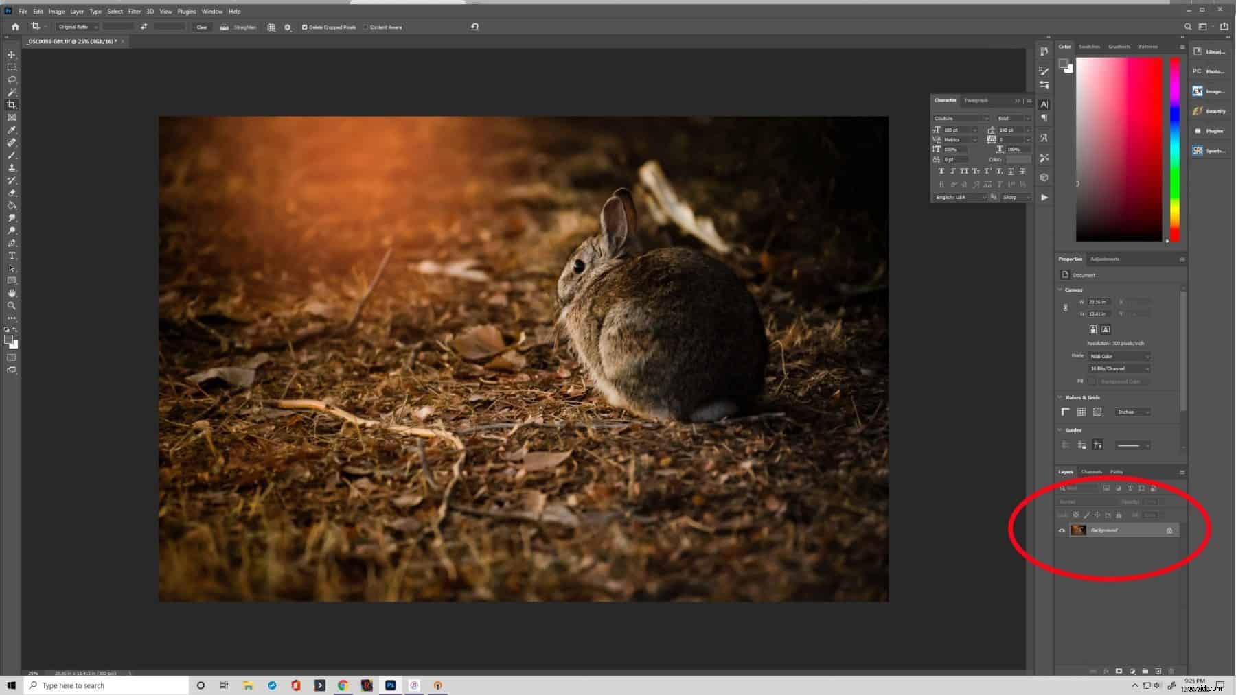 How to Unlock Layers in Photoshop: Quick & Easy Step-by-Step Guide