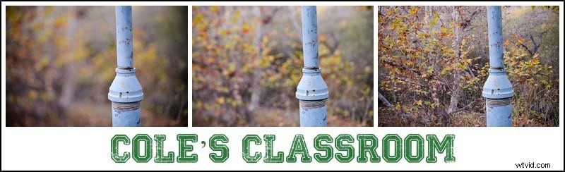 Depth of Field Explained: The Ultimate Guide to DOF in Photography