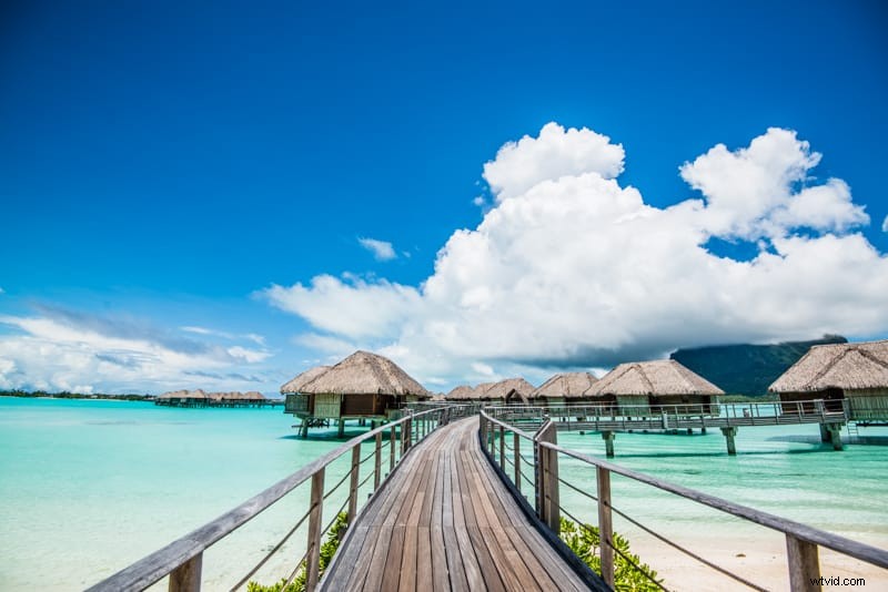 Master Aperture in Photography: 3 Simple Steps for Stunning Blur and Sharp Focus