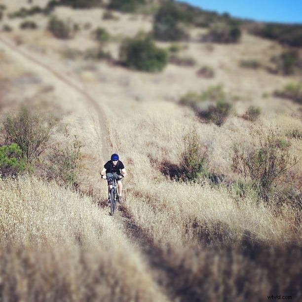 Master Stunning Photos with Point-and-Shoot or iPhone: Pro Tips to Amaze Everyone