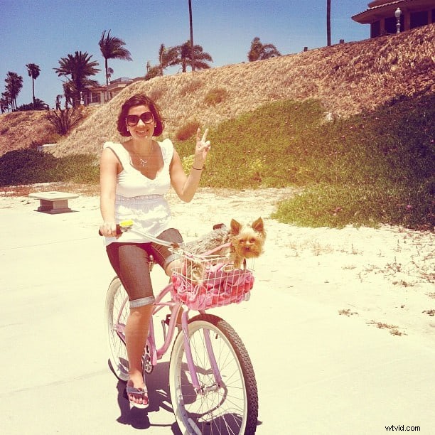 Master Stunning Photos with Point-and-Shoot or iPhone: Pro Tips to Amaze Everyone