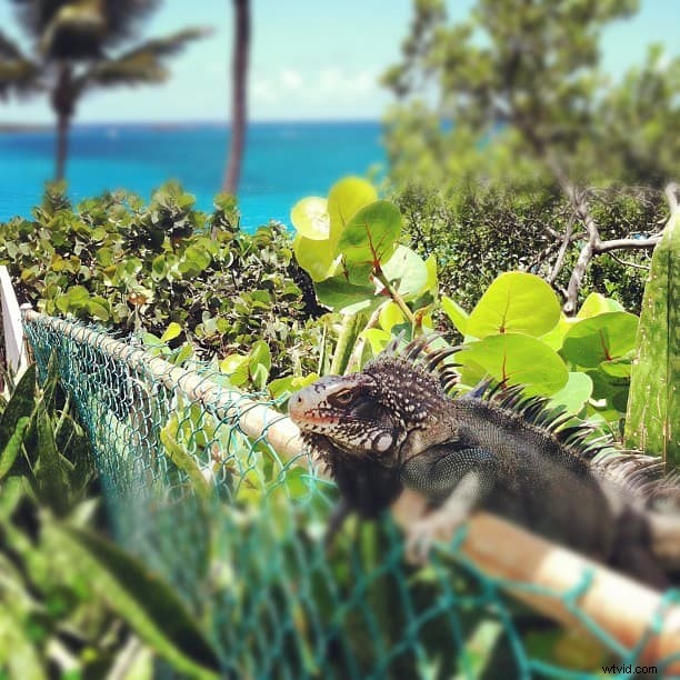 Master Stunning Photos with Point-and-Shoot or iPhone: Pro Tips to Amaze Everyone