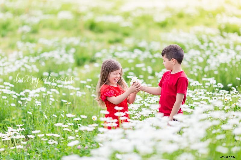 5 Expert Tips for Razor-Sharp Photos Shooting Wide Open Aperture