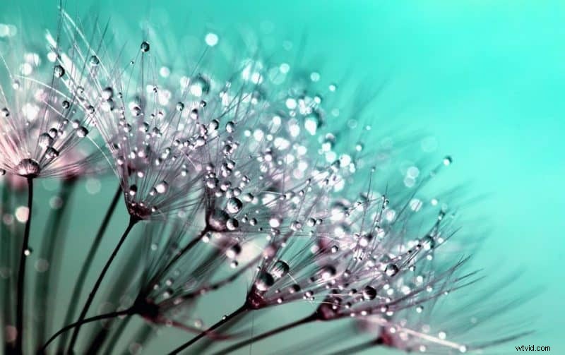 Focal Length Explained: Choose the Perfect Camera Lens for Any Shot