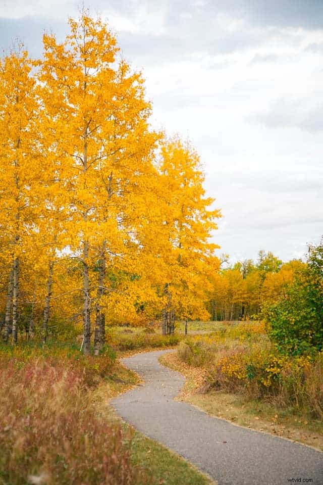 9 Expert Tips to Capture Stunning Autumn Foliage and Breathtaking Fall Photos