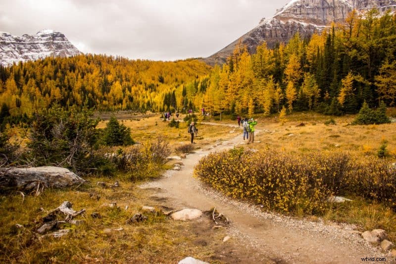 9 Expert Tips to Capture Stunning Autumn Foliage and Breathtaking Fall Photos