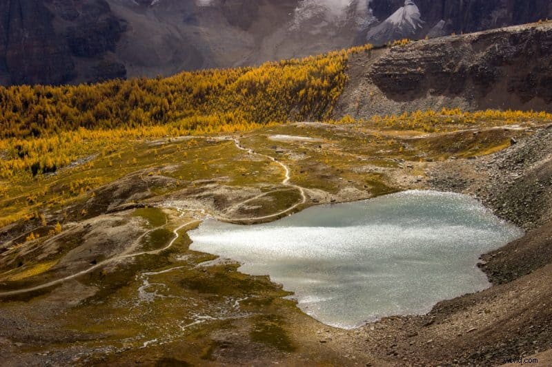 9 Expert Tips to Capture Stunning Autumn Foliage and Breathtaking Fall Photos