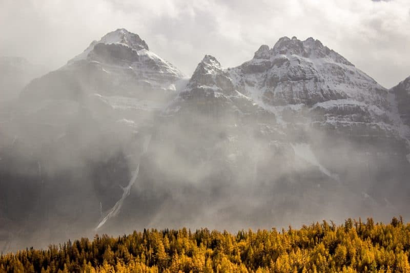 9 Expert Tips to Capture Stunning Autumn Foliage and Breathtaking Fall Photos