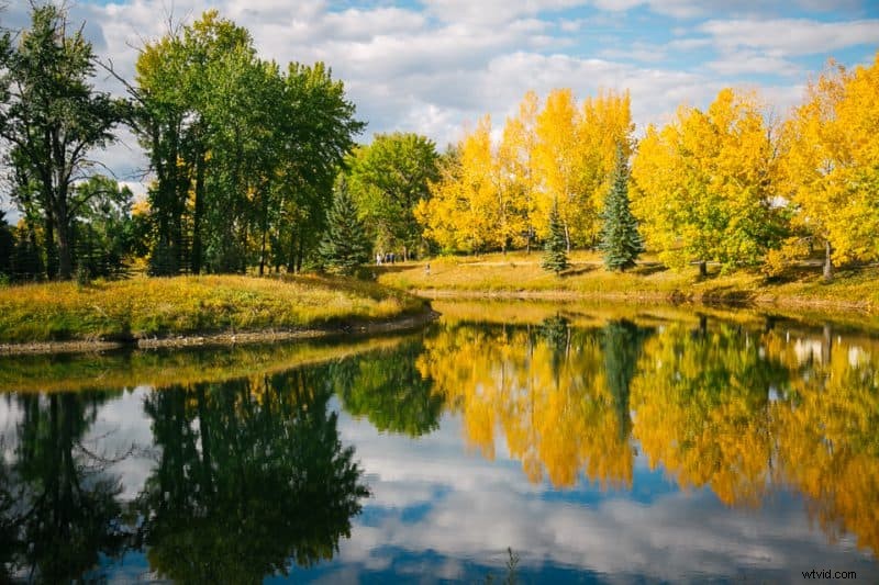 9 Expert Tips to Capture Stunning Autumn Foliage and Breathtaking Fall Photos