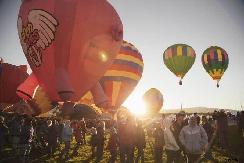 Master Lens Flares: How to Create Stunning Effects or Avoid Them in Photography