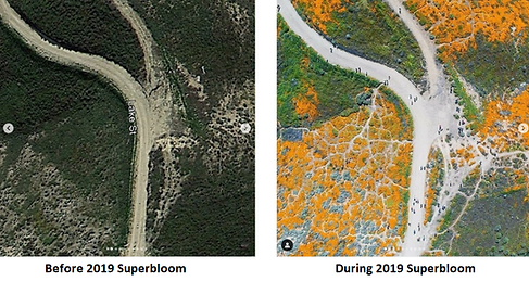 Outdoor Photography Ethics: The Hidden Dangers of Chasing Social Media Likes