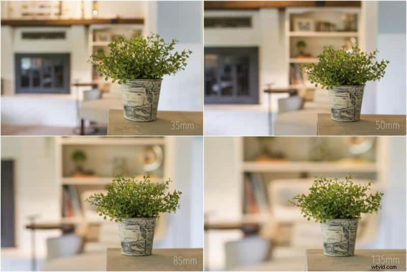 Bokeh for Beginners: Master Stunning Blurry Backgrounds in Photography