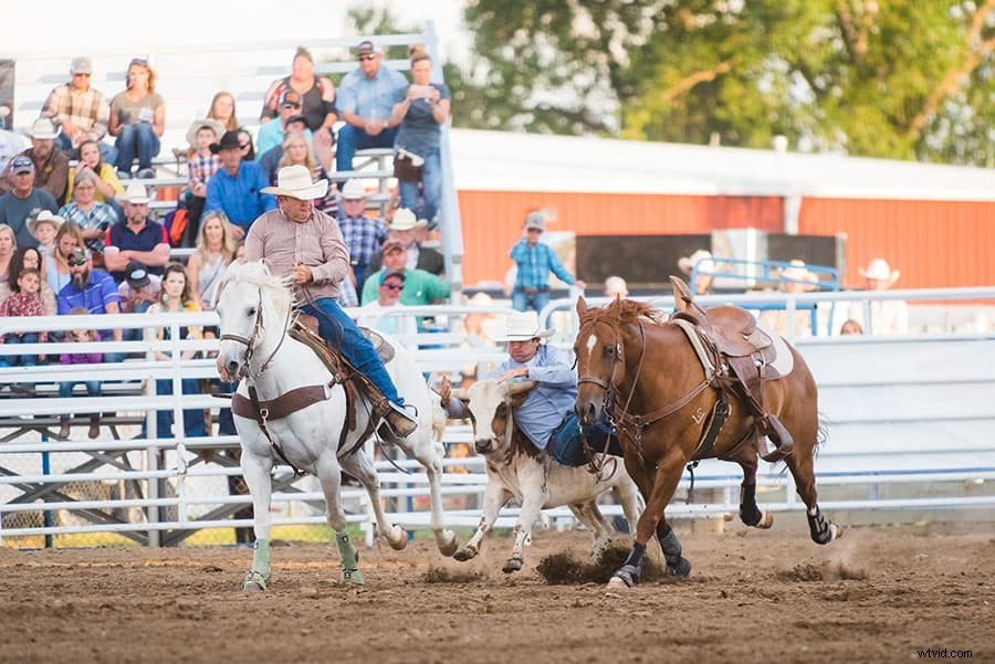 Capture the Thrill: Ultimate Beginner s Guide to Rodeo Photography