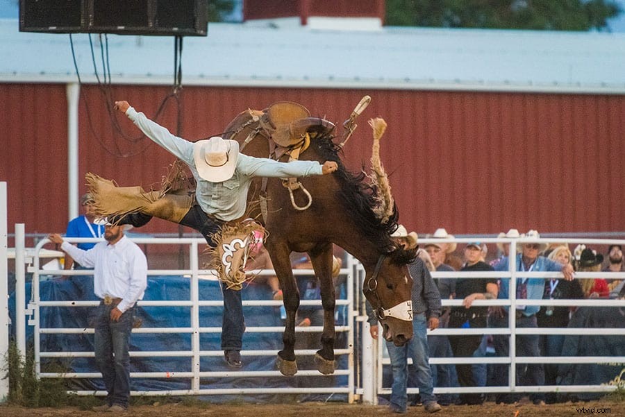 Capture the Thrill: Ultimate Beginner s Guide to Rodeo Photography