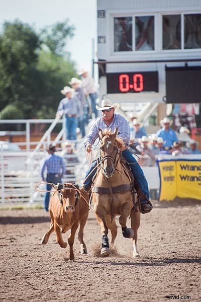 Capture the Thrill: Ultimate Beginner s Guide to Rodeo Photography