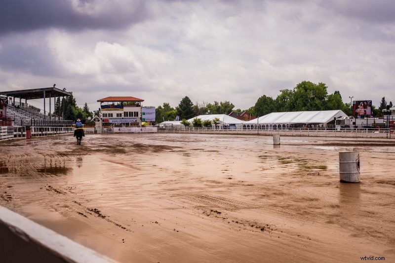 Capture the Thrill: Ultimate Beginner s Guide to Rodeo Photography