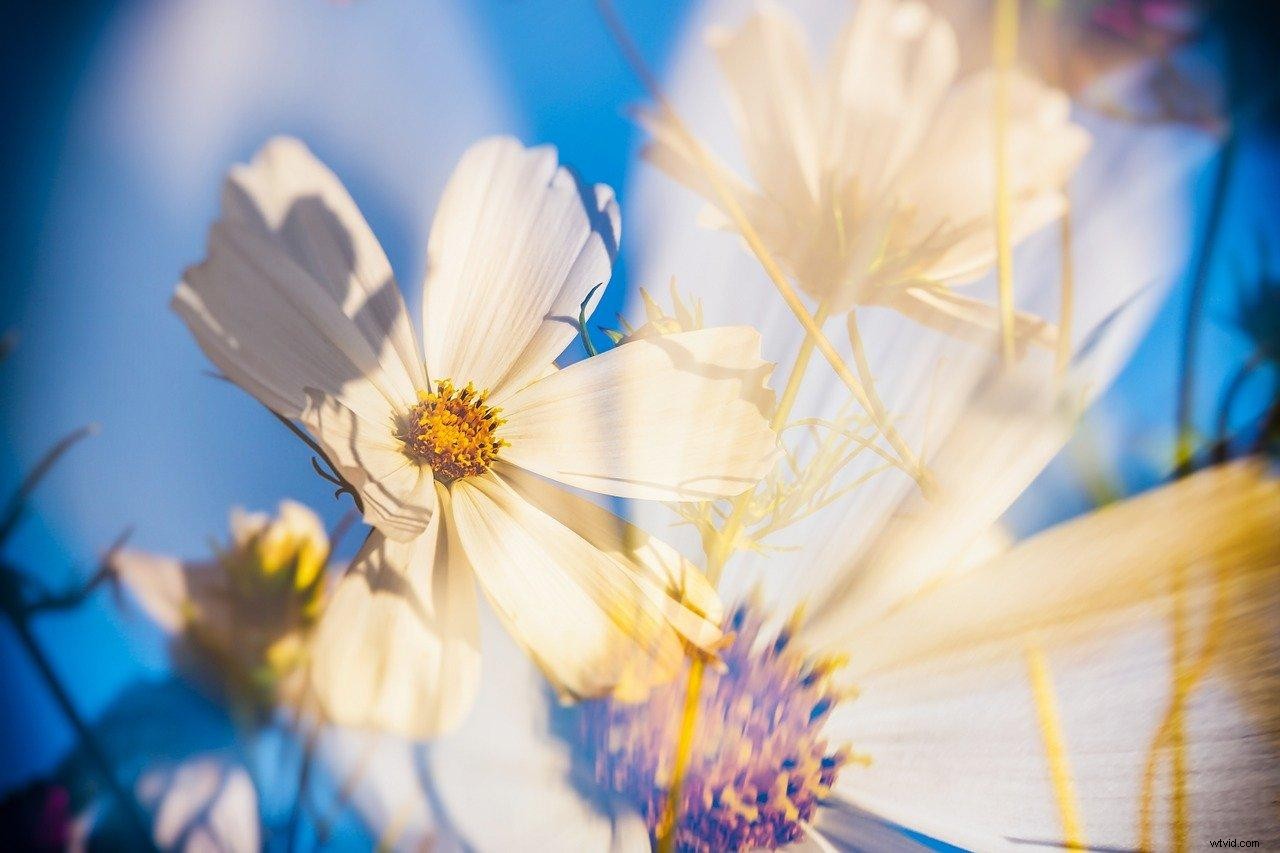 Mastering Double Exposure Photography: The Ultimate Guide & Pro Techniques