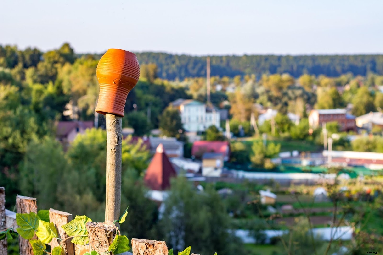 Master the Brenizer Method: Create Stunning Panoramic Portraits with Expansive Bokeh