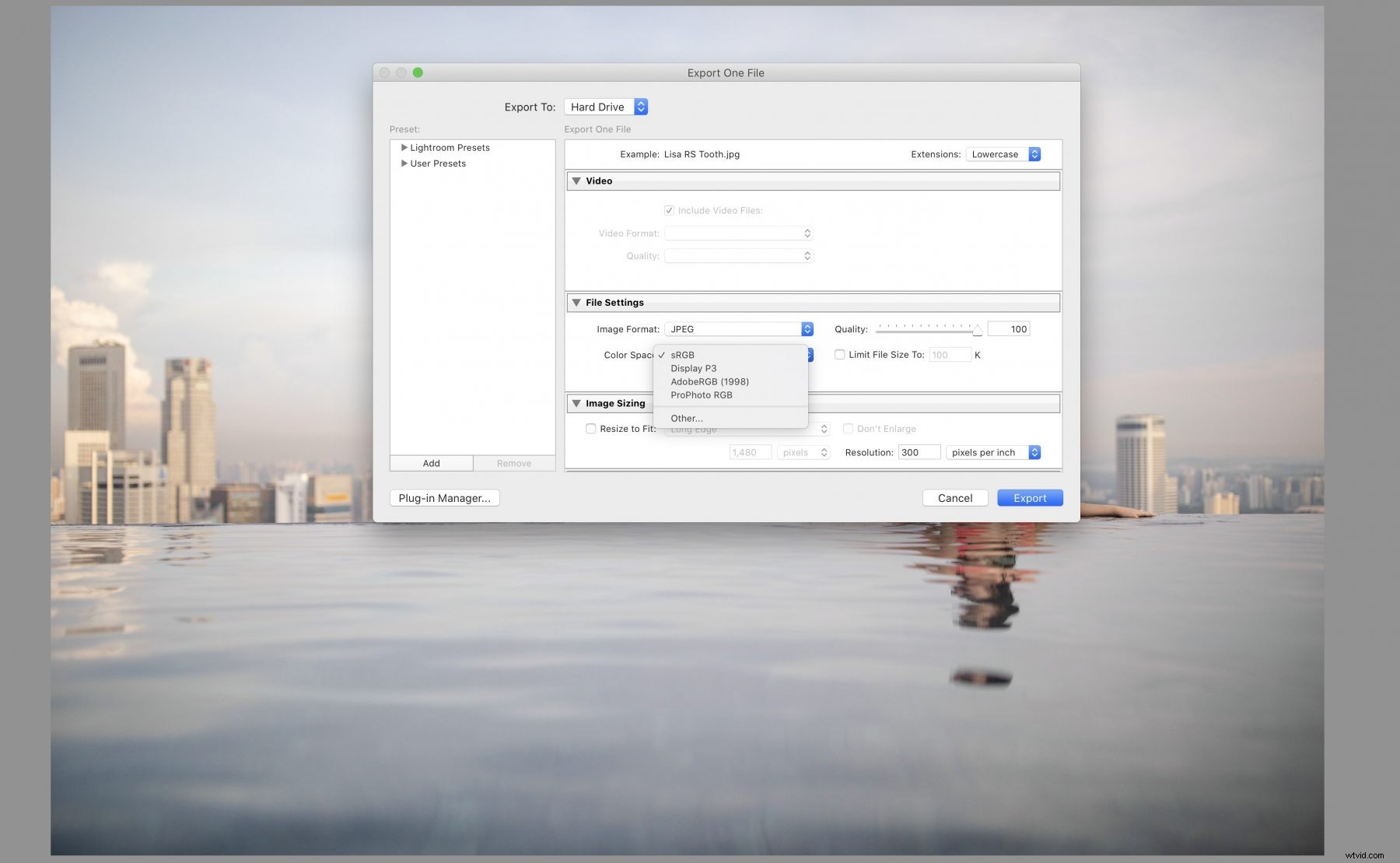 Adobe RGB vs sRGB: Which Color Space Should Photographers Choose?