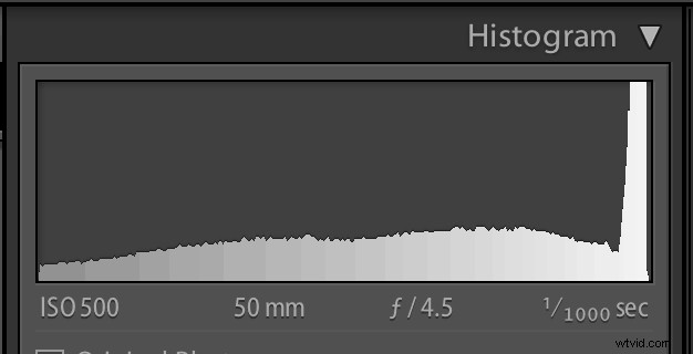 Master Your Camera Histogram: How to Read It for Perfect Exposure