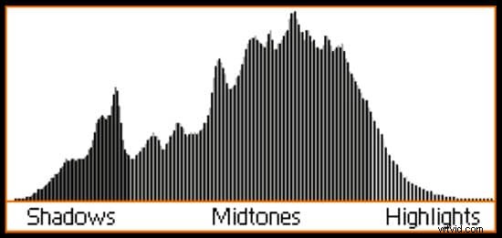 Master Your Camera Histogram: How to Read It for Perfect Exposure