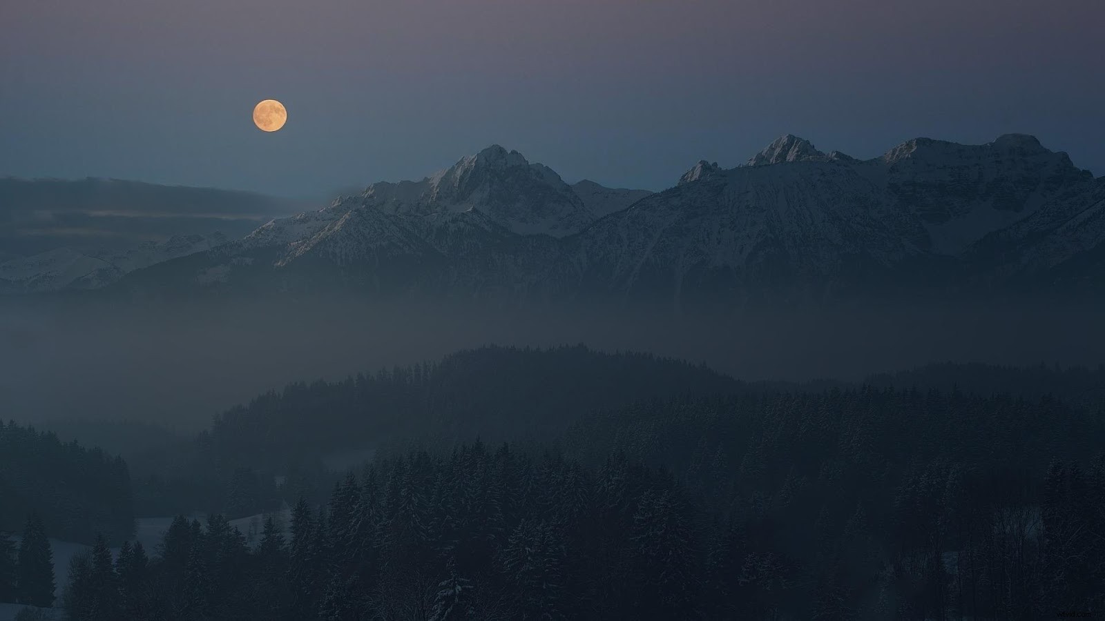Moon Photography Guide: Easy Tips for Capturing Stunning Shots