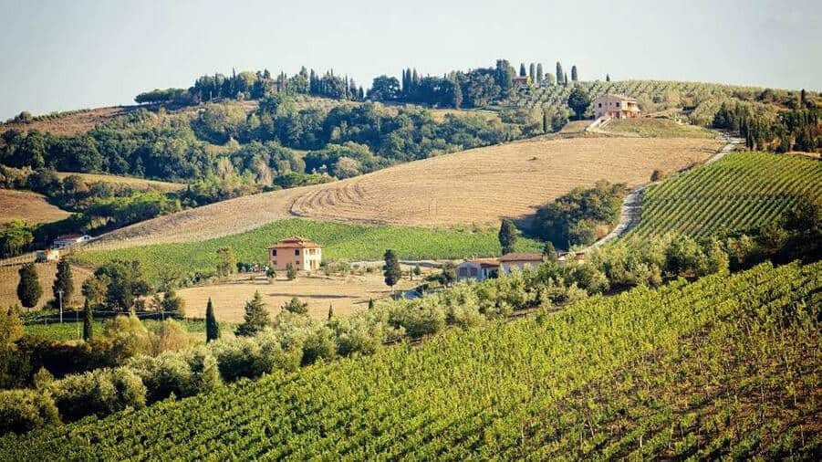 7 Innovative Ways Drones Benefit the Environment