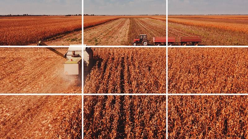 Master Drone Photography: Pro Tips for Stunning Aerial Shots