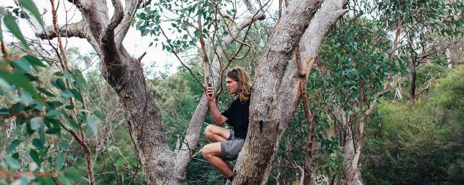 9 Proven Ways to Safely Retrieve Your Drone from a Tree