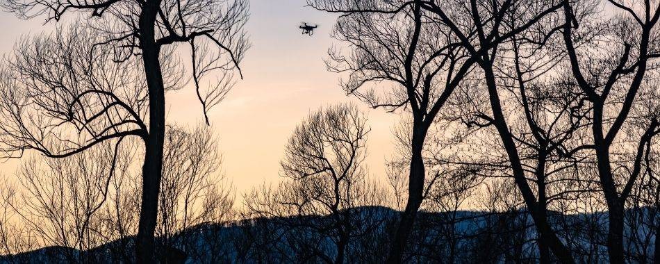 How to Spot Drones from the Ground: Key Identification Tips