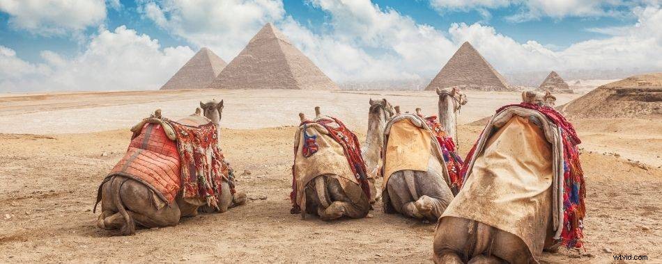 Egypt Drone Laws: Can You Bring and Fly Your Drone? Essential Guide